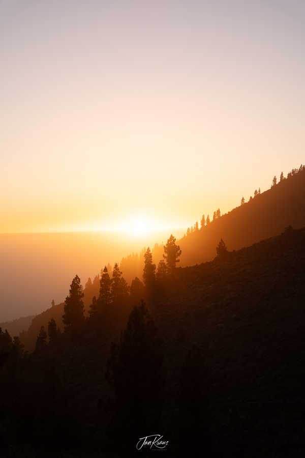 Photo from Tenerife album