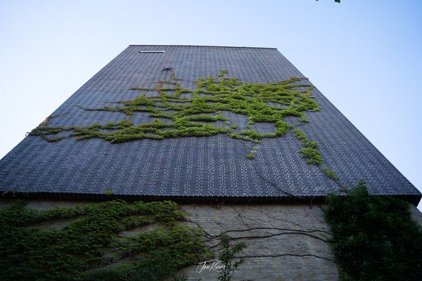 Photo from Hamburg album