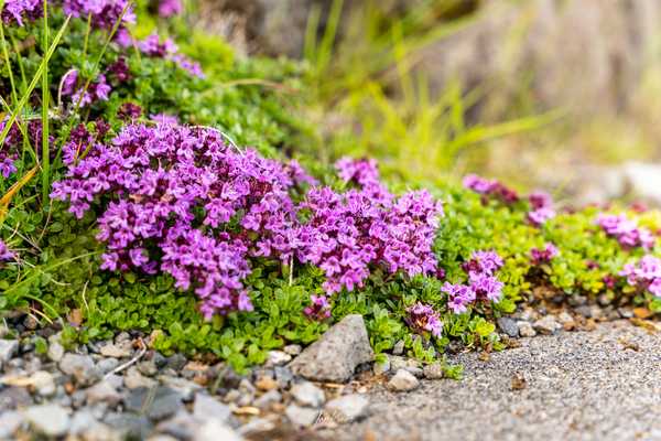 Photo from Iceland album