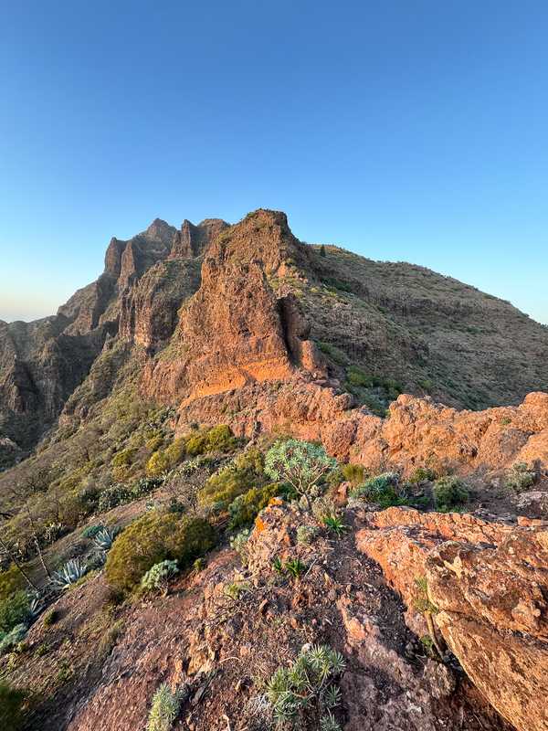 Photo from Tenerife album