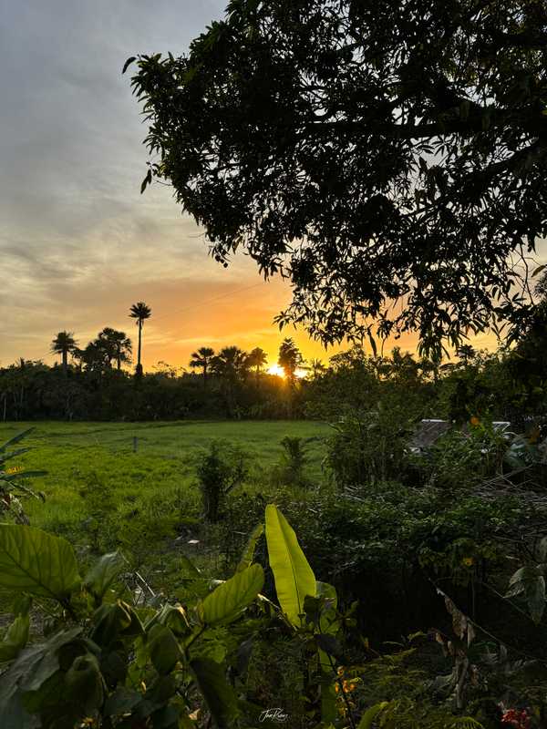 Photo from Philippines album