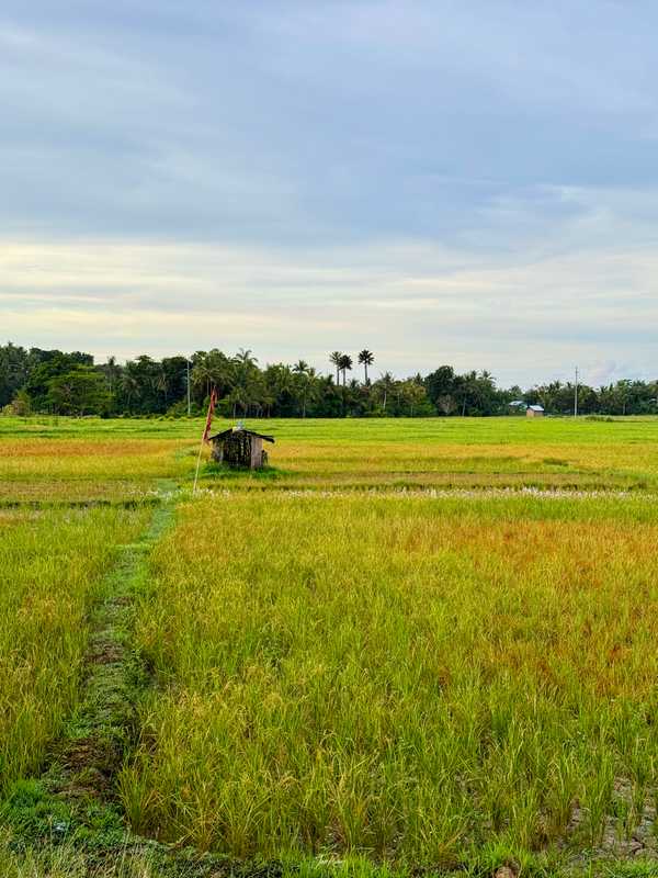 Photo from Philippines album