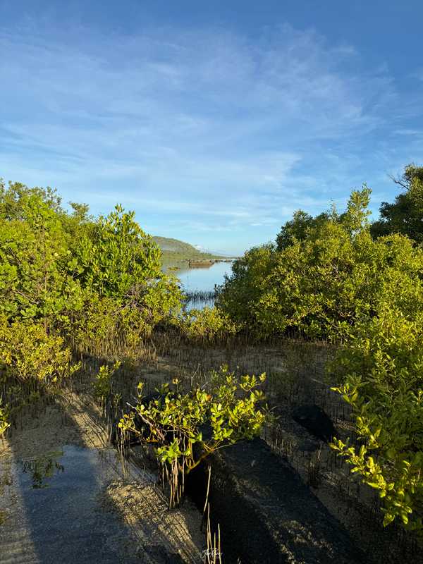 Photo from Philippines album