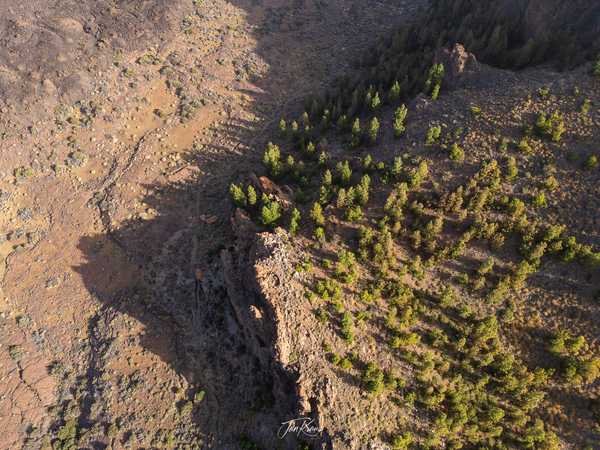 Photo from Tenerife album