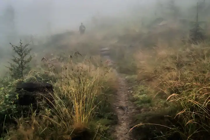 Running recap of 2013