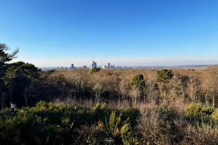 February 2025 training update