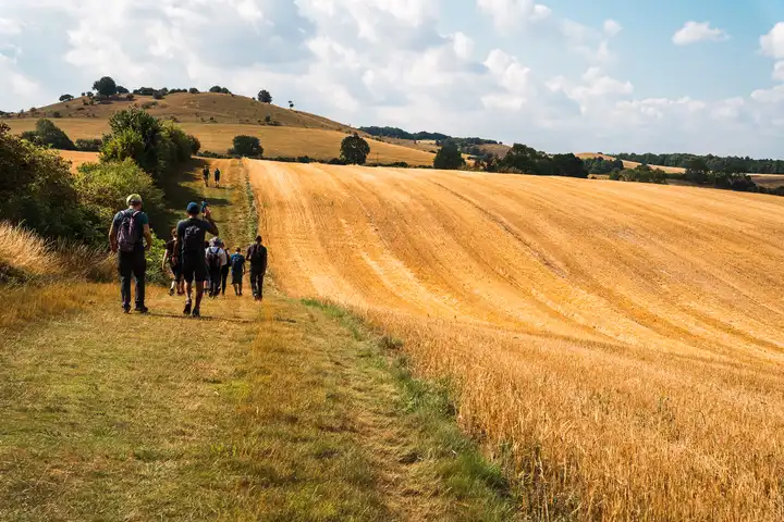Outdooraholics group hiking through the field of Hertfordshire, England, UK