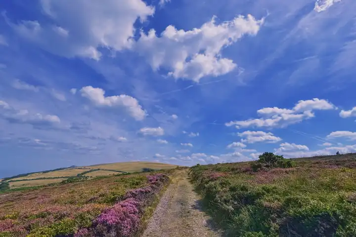 A short look back on year 2025