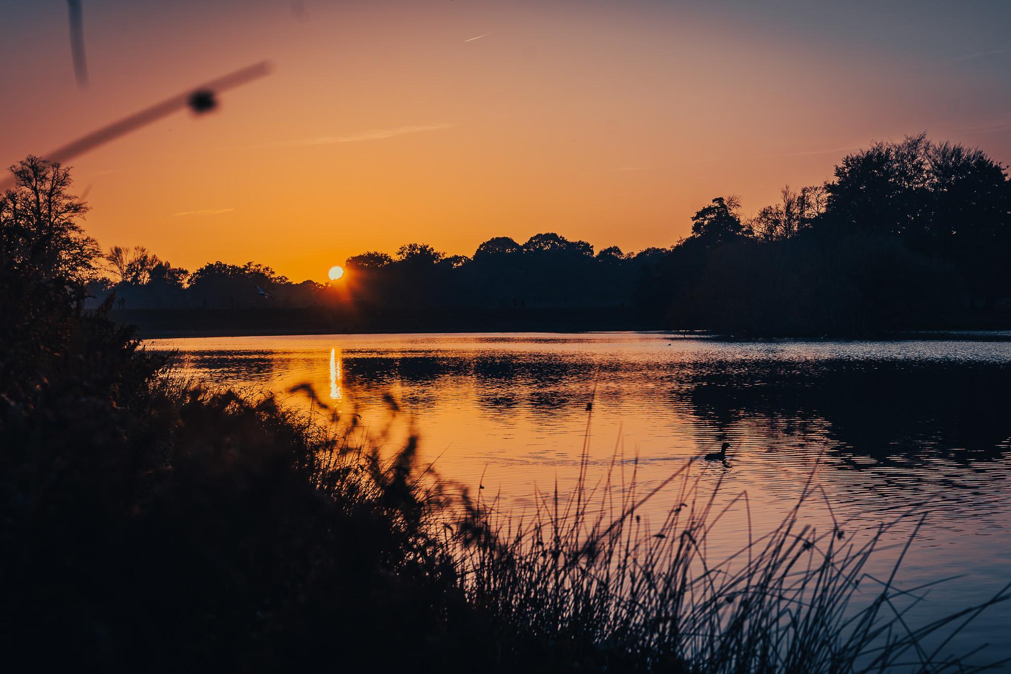 A sunset captured at Richmond Park, London, UK