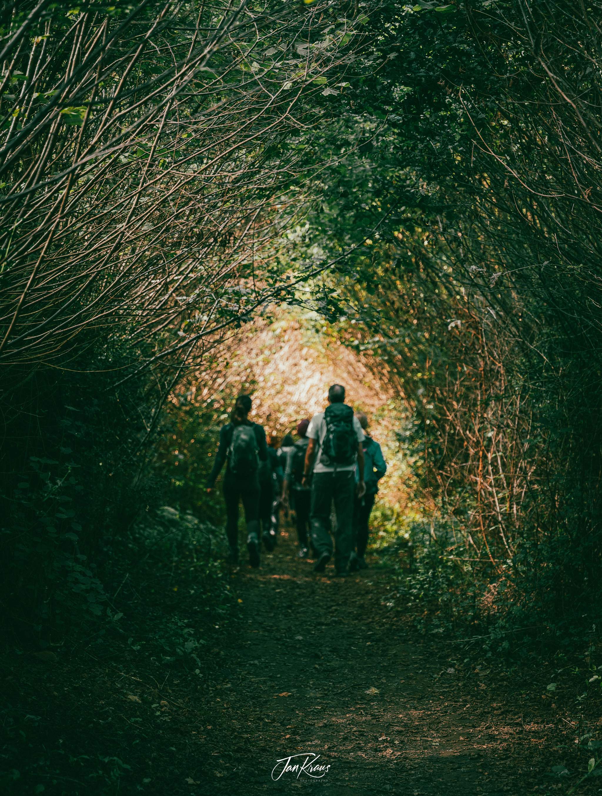 Our group walking through natural corridor created by the shrubs around the path, East Sussex, England, UK