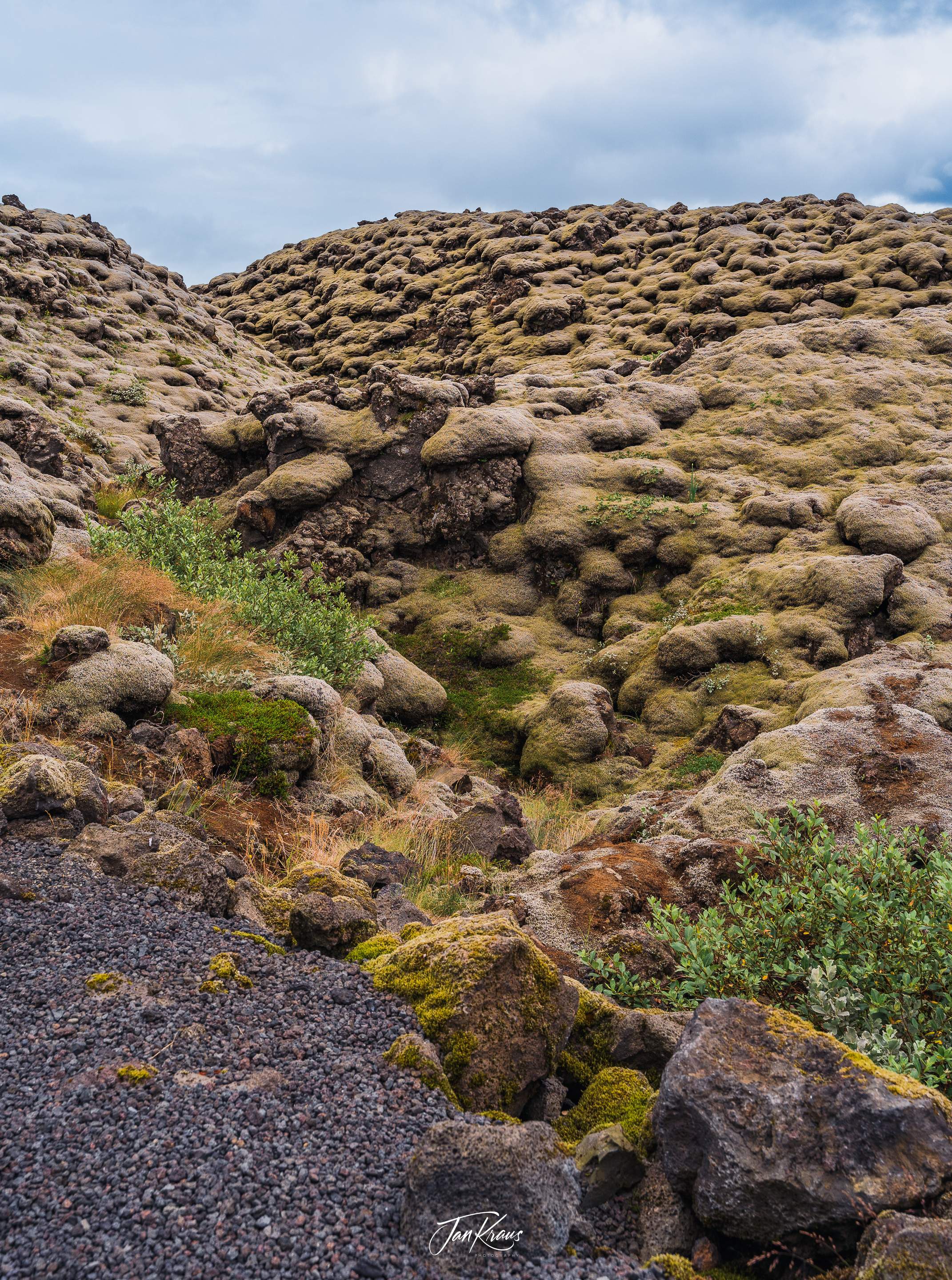 Green lava fields at Eldhraun, Katla Geopark, Iceland