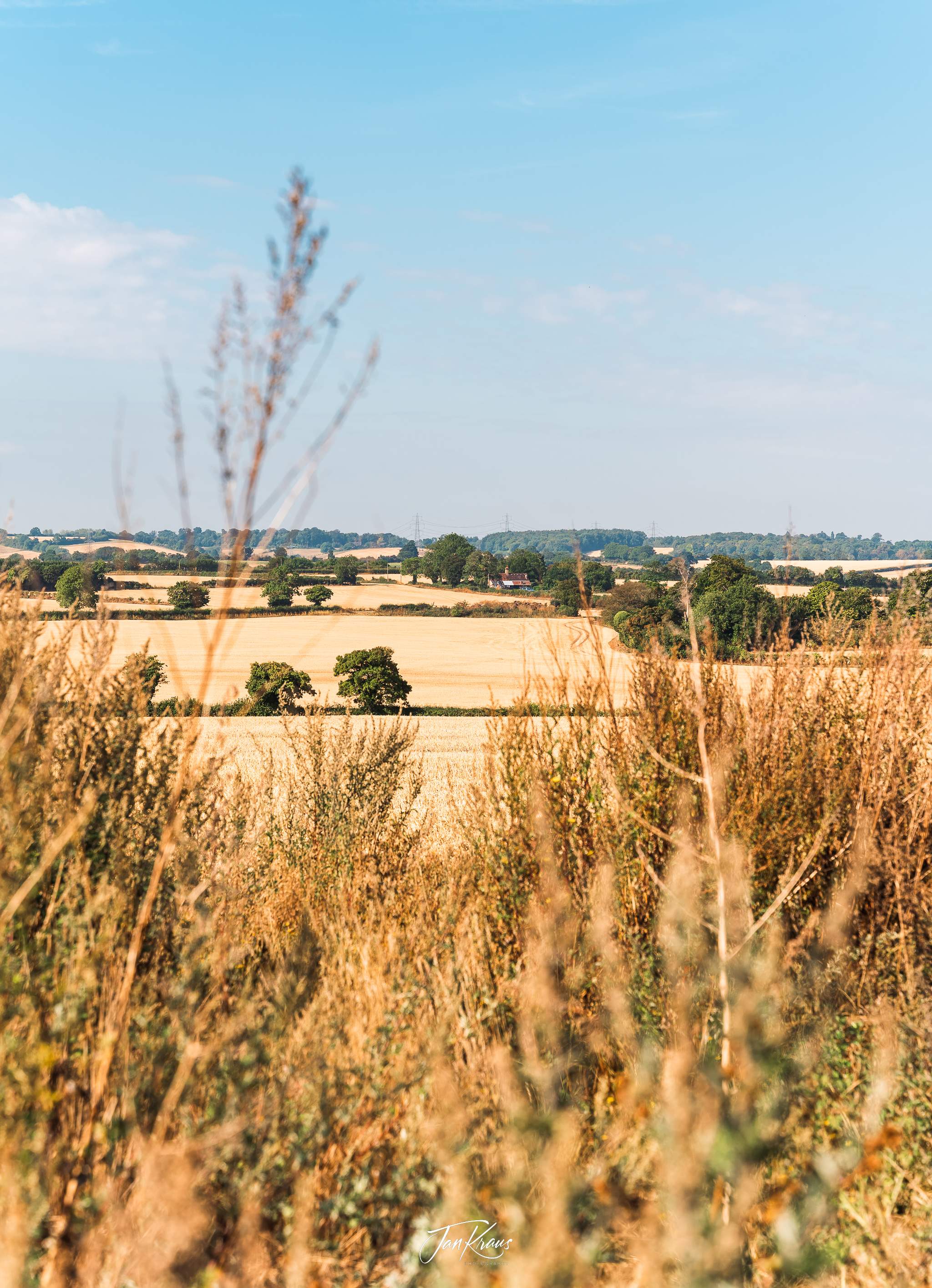 Summer view of harvested grain fields, Hertfordshire, England, UK