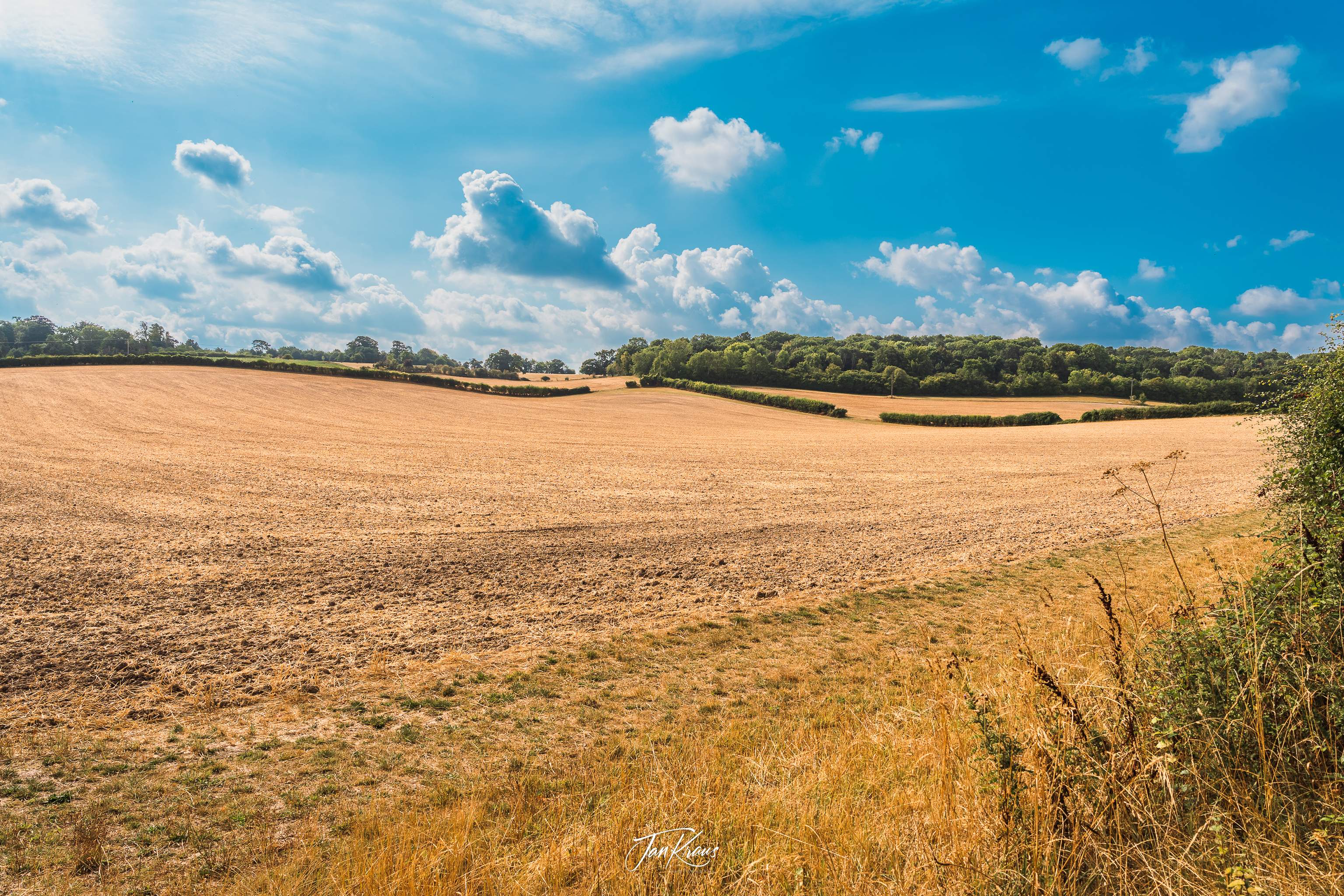 Gently rolling fields, Hertfordshire, England, UK