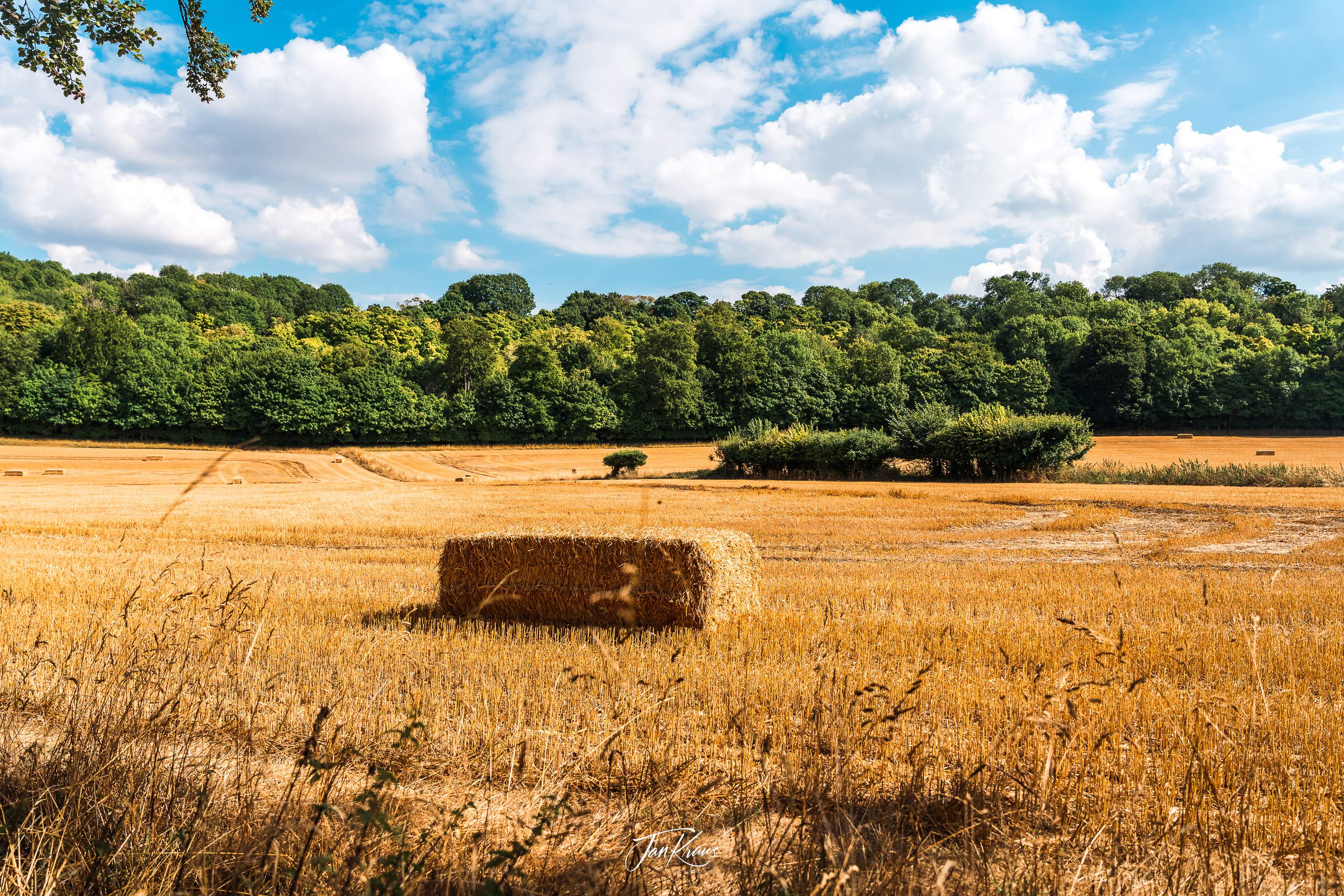 Stubble fields with straw cubes near Charlton hamlet, Hitchin, Hertfordshire, England, UK