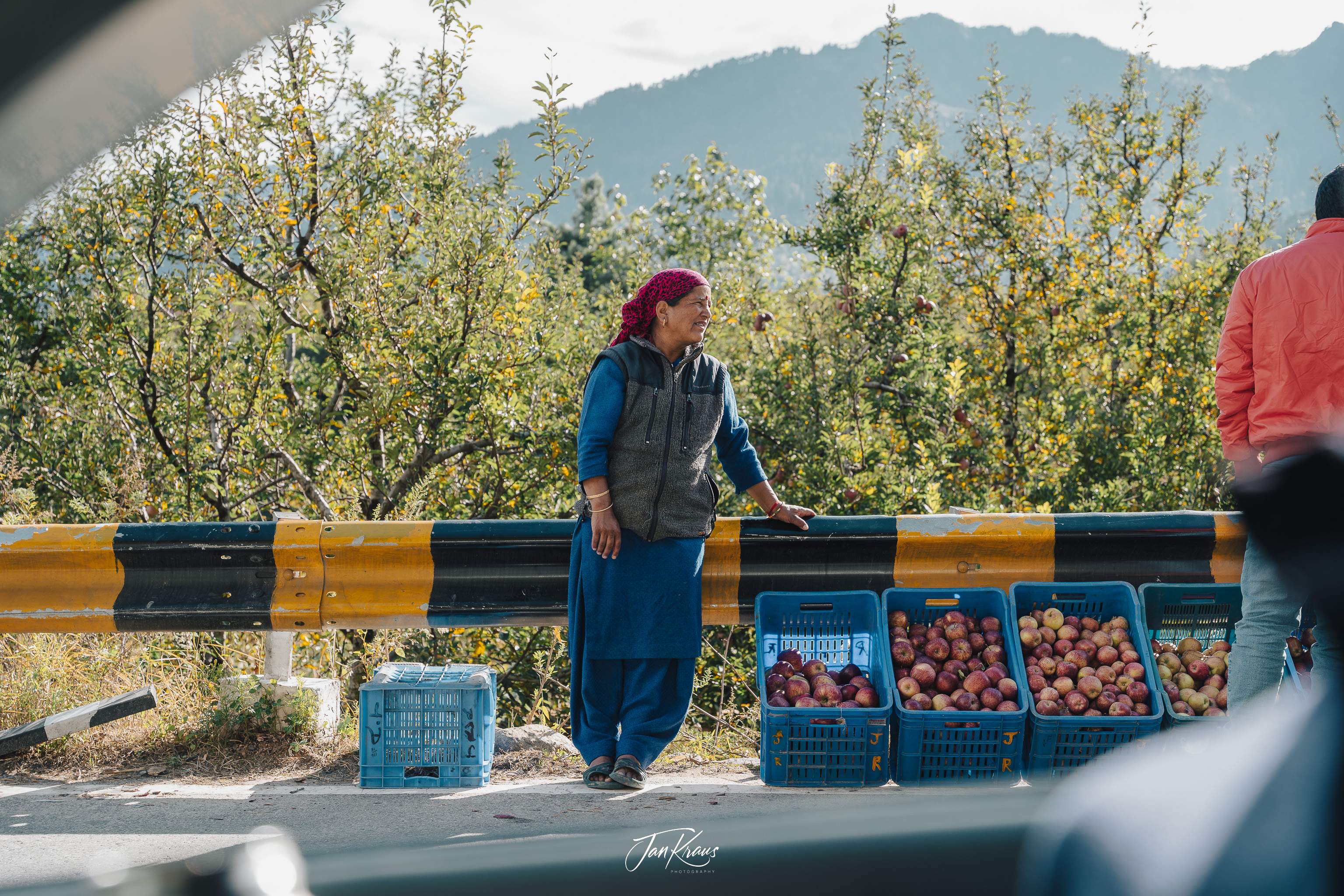 A woman selling apples on the road to Kullu Valley, India