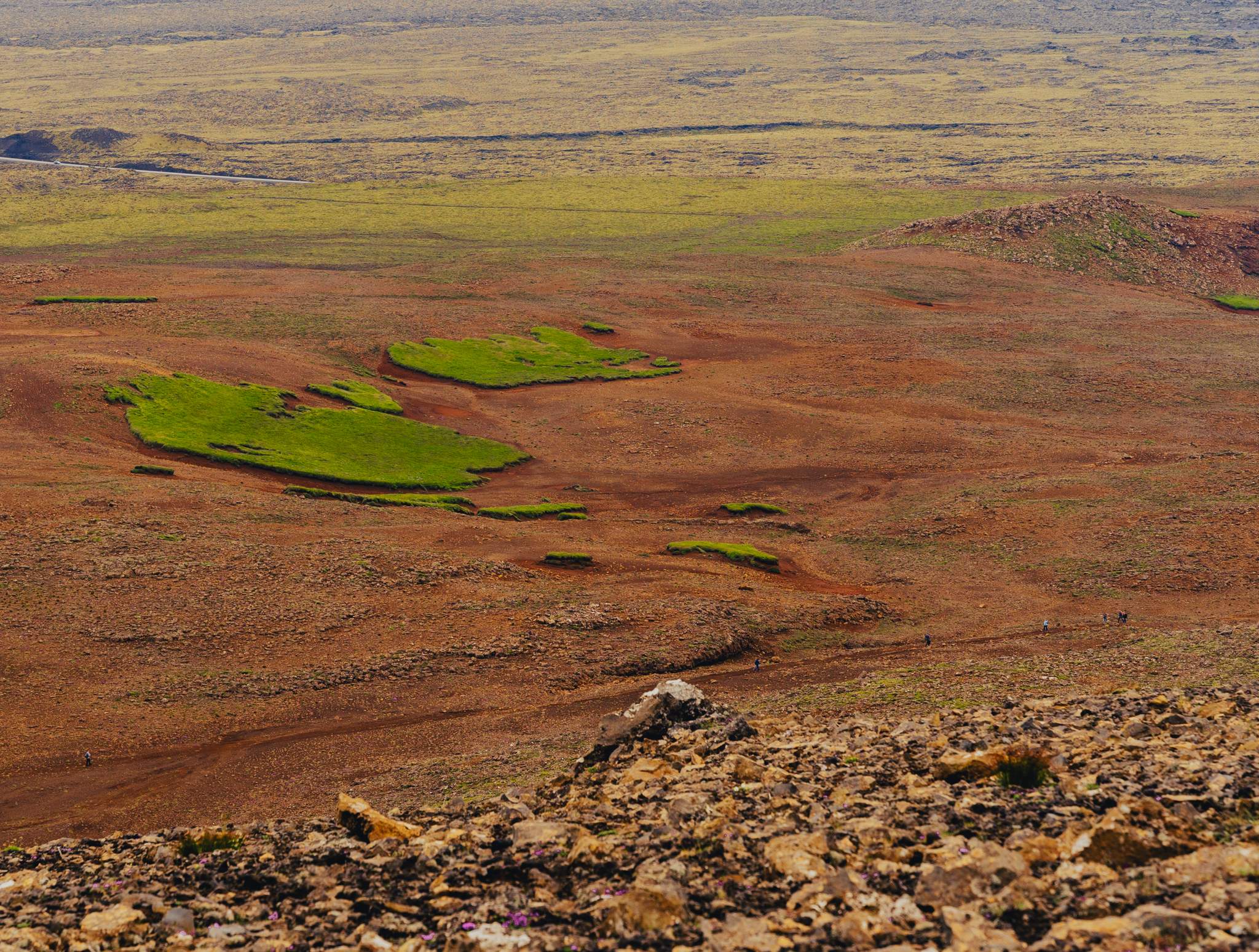 Green patches of foliage appearing on arid land
