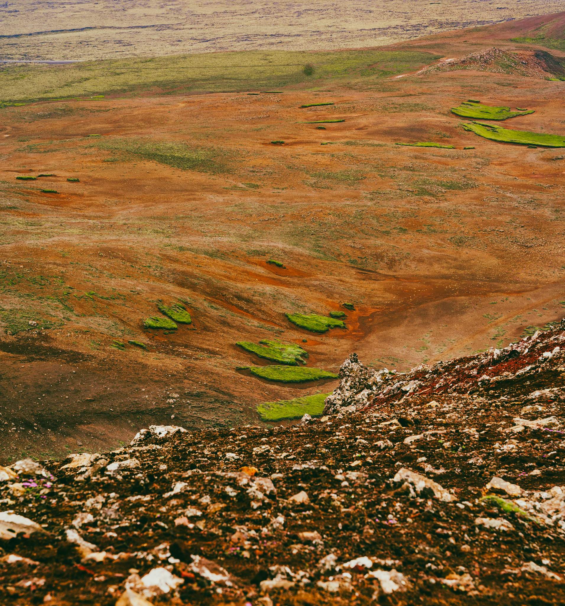 Love how the green patches of grass (or moss) look on the barren land