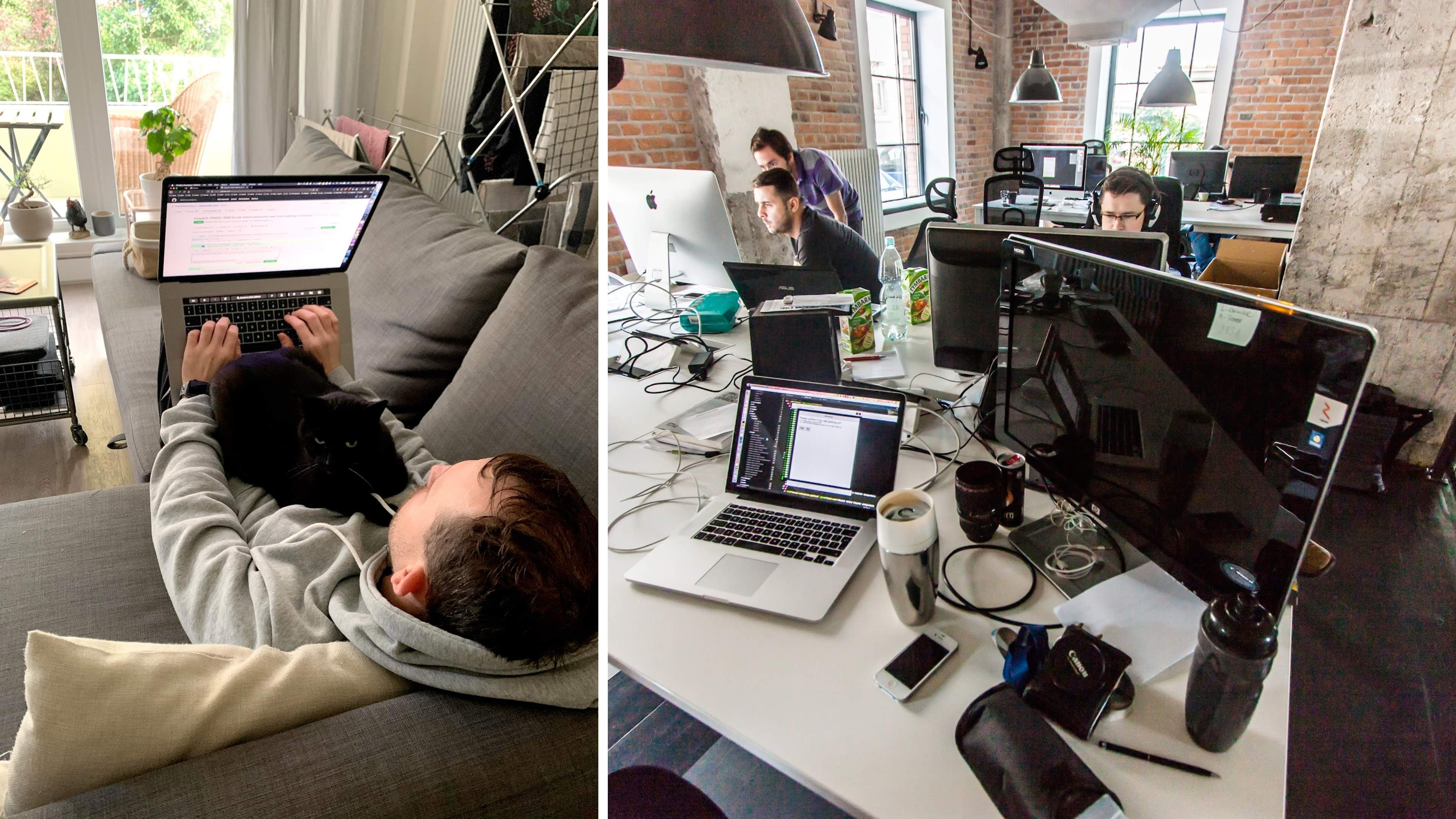 A mashup of two images: working from home with a cat on your lap vs proper 'office' environment