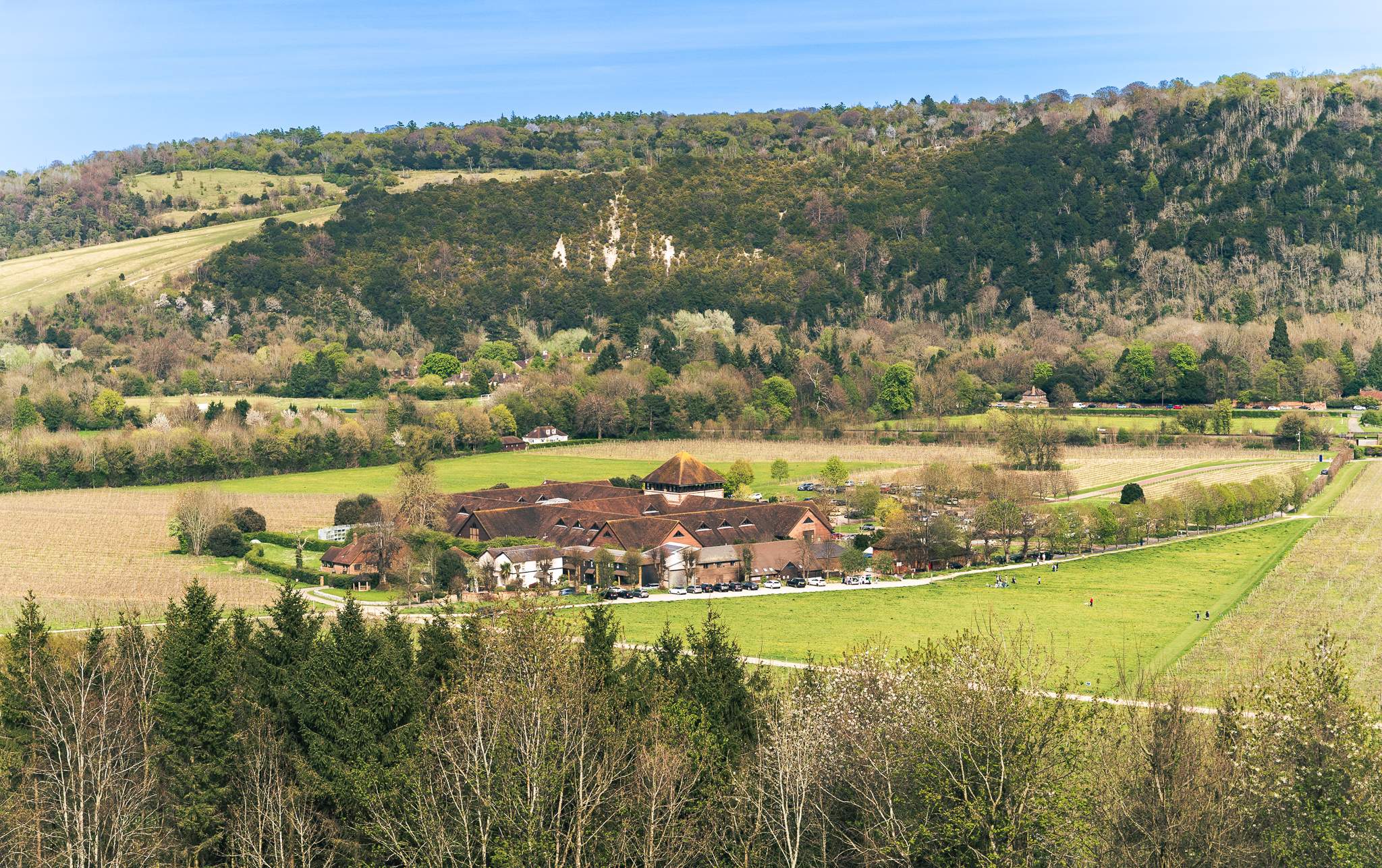 A view over Denbies Wine Estate with Box Hill in the background, Dorking, Surrey, UK