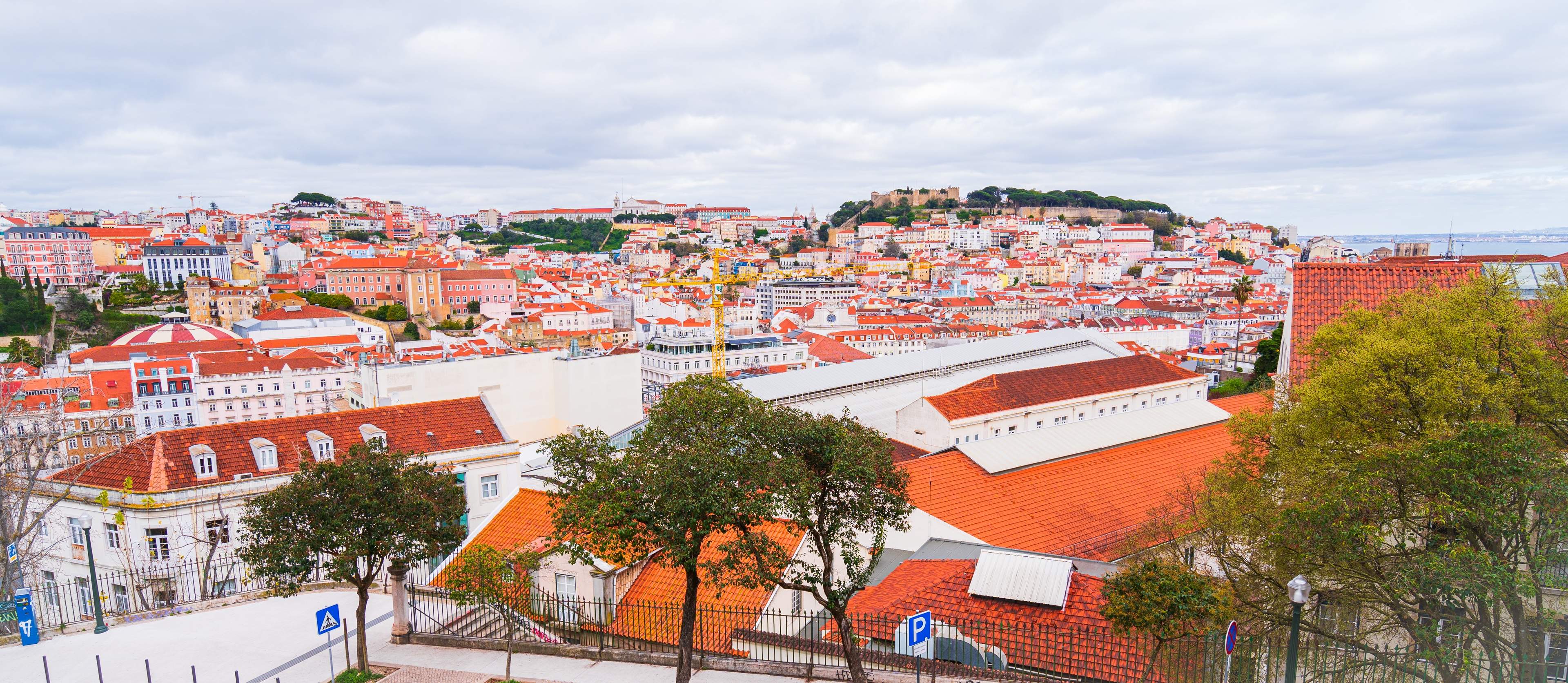 The view from Miradouro de São Pedro de Alcântara, Lisbon, Portugal