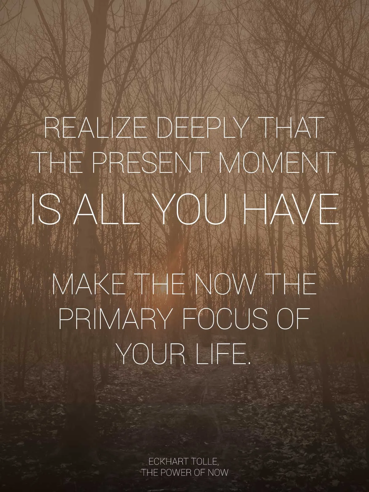 Realize deeply that the present moment is all you have. Make the NOW the primary focus of your life