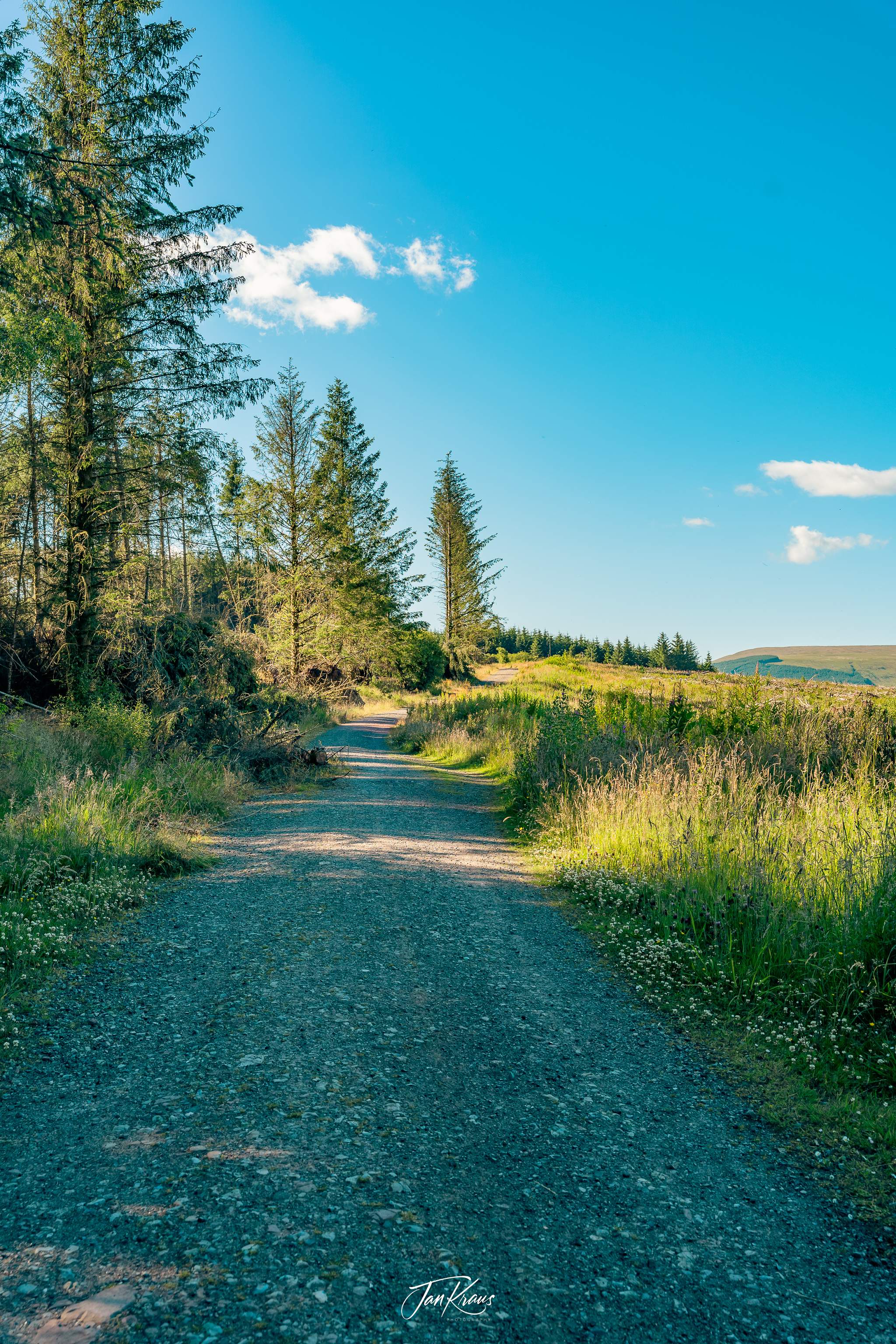 A road leading towards Taf Fechan Forest, Wales, UK