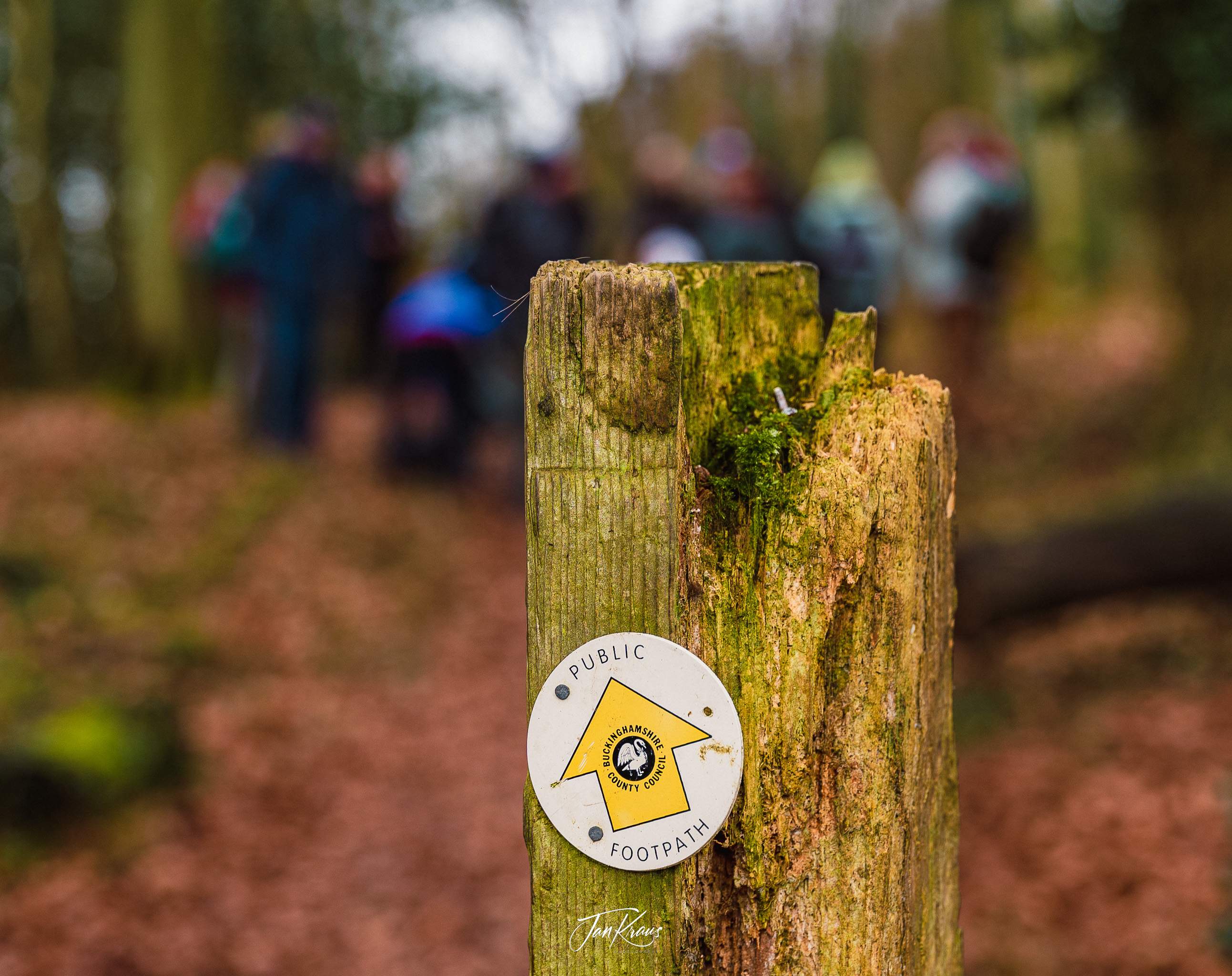 Photos from Wendover Woods hike, England, UK